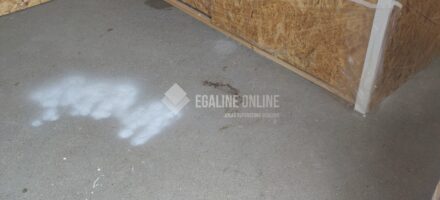 Egalisatie houten vloer